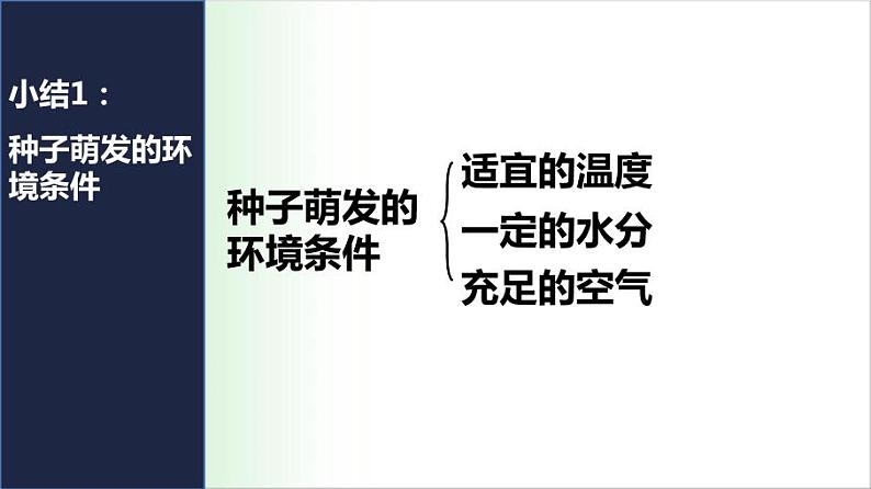 3.2.1 种子萌发 课件 2021——2022学年人教版七年级生物上册第7页