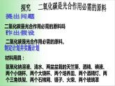 3.5.1 光合作用吸收二氧化碳释放氧气 课件 2021——2022学年人教版七年级生物上册