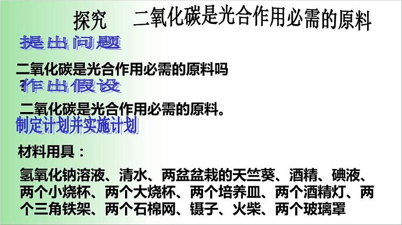 3.5.1 光合作用吸收二氧化碳释放氧气 课件 2021——2022学年人教版七年级生物上册第4页