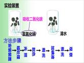 3.5.1 光合作用吸收二氧化碳释放氧气 课件 2021——2022学年人教版七年级生物上册