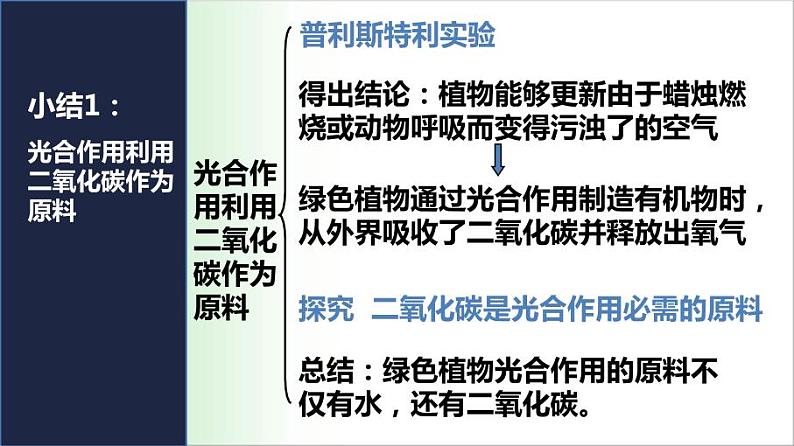 3.5.1 光合作用吸收二氧化碳释放氧气 课件 2021——2022学年人教版七年级生物上册第7页