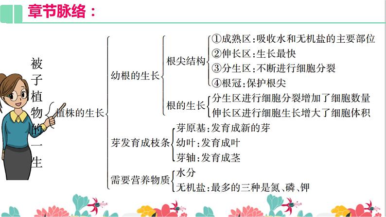 3.2复习课件 被子植物的一生06