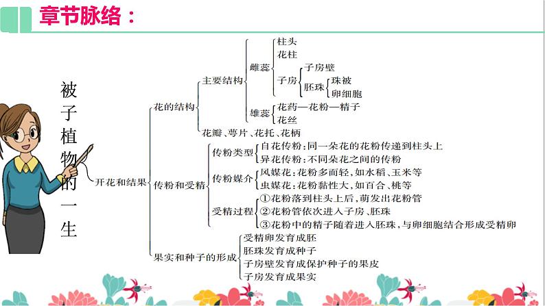 3.2复习课件 被子植物的一生07