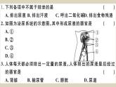 （新人教版）七年级下册第五章人体内废物的排出检测卷课件（生物）