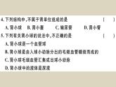 （新人教版）七年级下册第五章人体内废物的排出检测卷课件（生物）