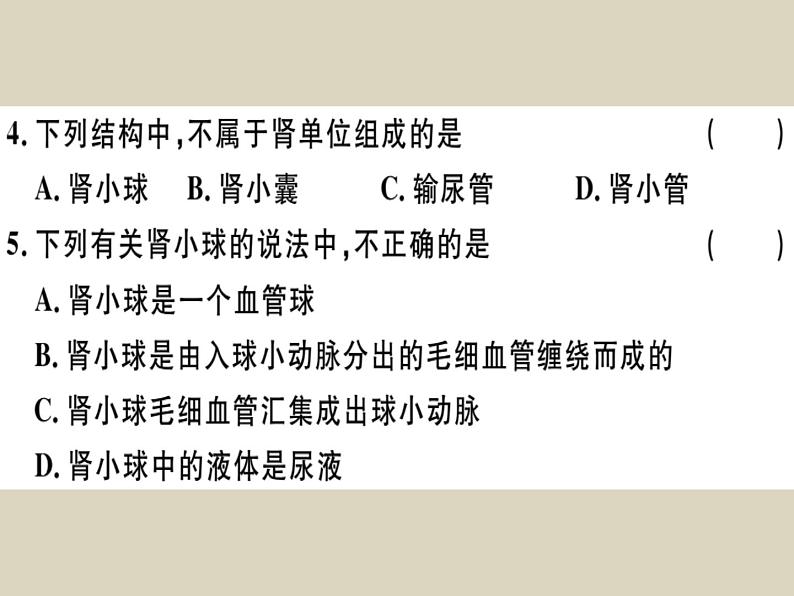 （新人教版）七年级下册第五章人体内废物的排出检测卷课件（生物）第3页