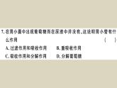 （新人教版）七年级下册第五章人体内废物的排出检测卷课件（生物）