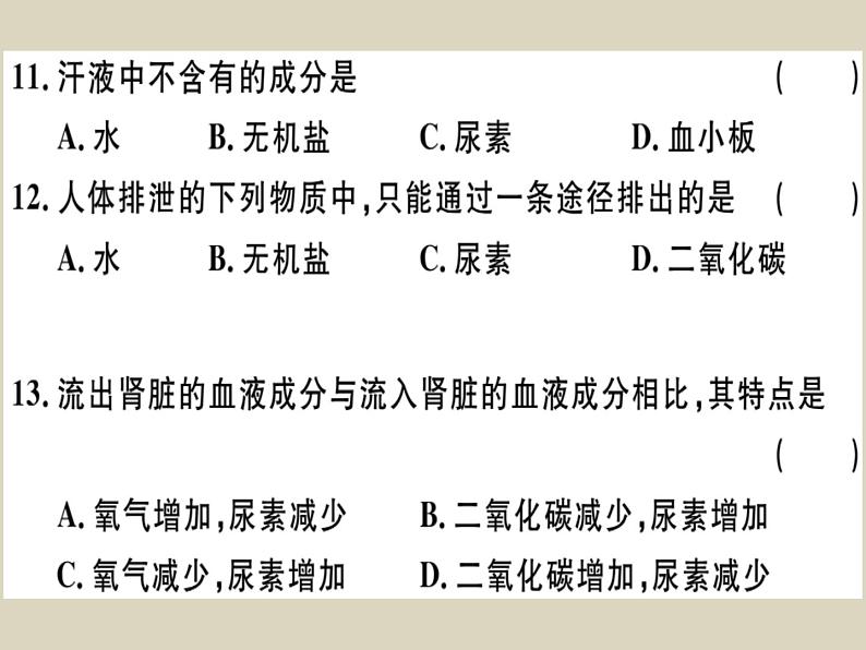 （新人教版）七年级下册第五章人体内废物的排出检测卷课件（生物）第8页