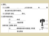 （新人教版）七年级下册第五章人体内废物的排出习题课件（生物）