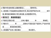 （新人教版）七年级下册第五章人体内废物的排出习题课件（生物）