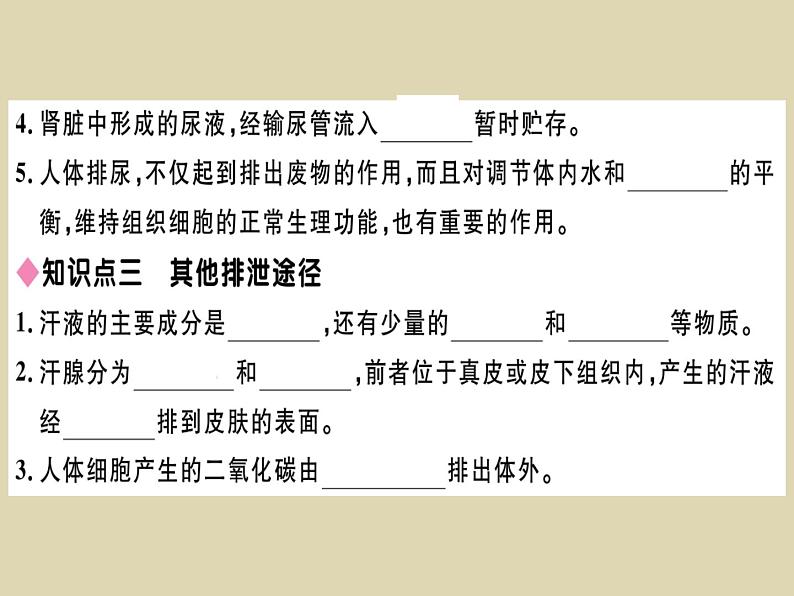 （新人教版）七年级下册第五章人体内废物的排出习题课件（生物）第4页