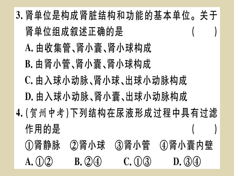 （新人教版）七年级下册第五章人体内废物的排出习题课件（生物）第6页