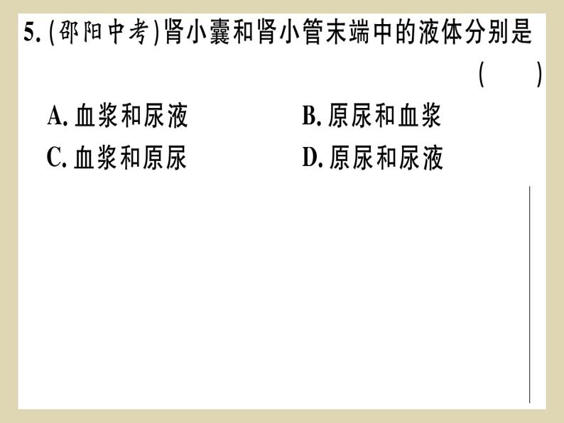 （新人教版）七年级下册第五章人体内废物的排出习题课件（生物）第7页