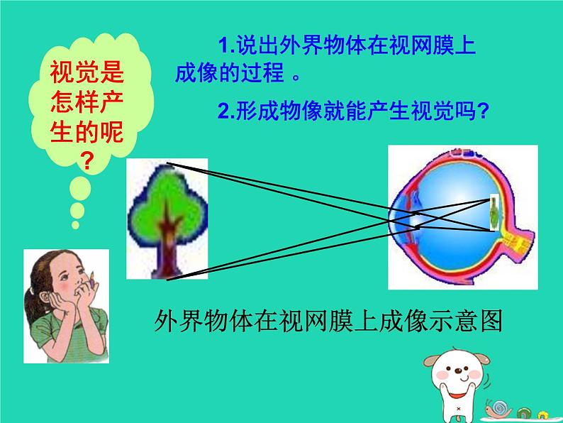 （鲁科版五四制）七年级生物下册4.6.1人体对外界环境的感知课件05