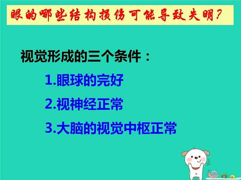 （鲁科版五四制）七年级生物下册4.6.1人体对外界环境的感知课件07