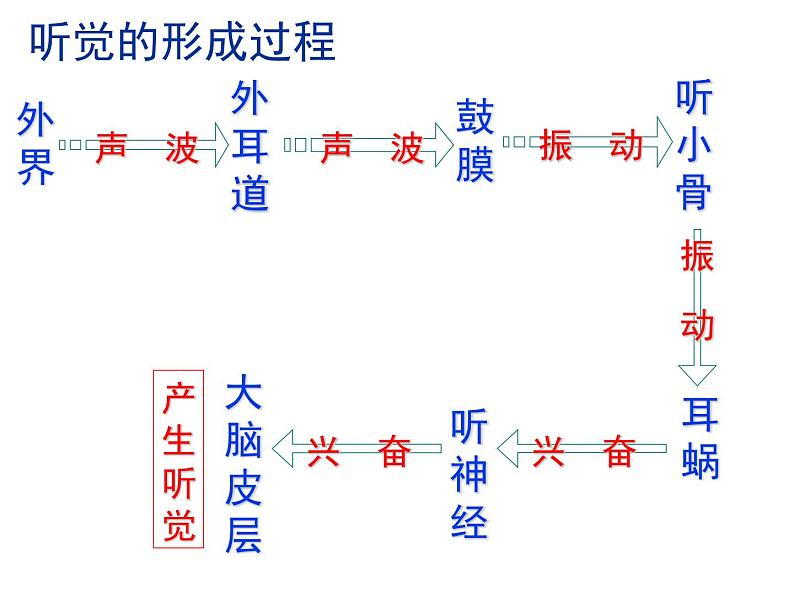 （冀教版）七年级生物下册第2单元第4章第3节信息的处理神经调节的基本方式——反射课件（新版）02