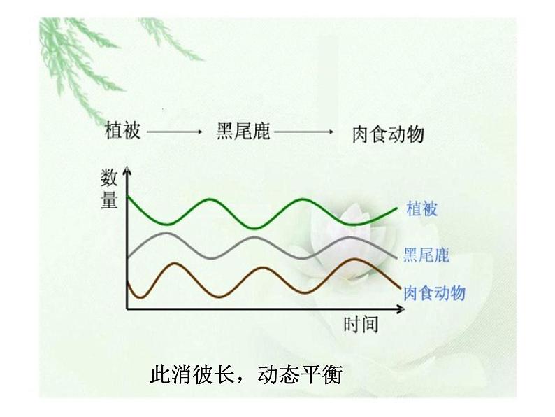 生态系统PPT课件免费下载08