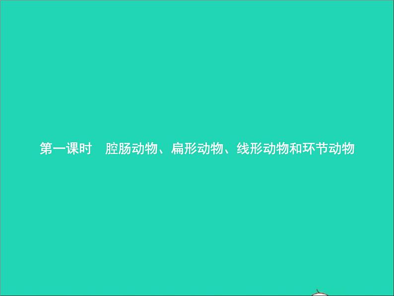 （济南版）七年级上册第1课时腔肠动物扁形动物线形动物和环节动物课件（生物）03