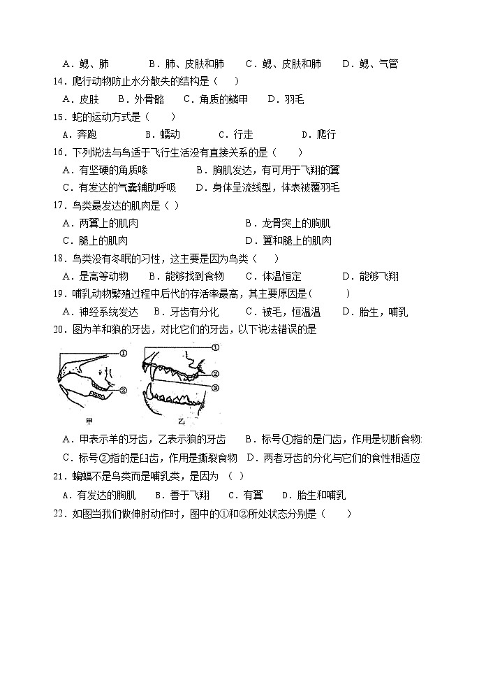 辽宁省东港市第八中学2020-2021学年八年级10月月考生物【试卷+答案】02