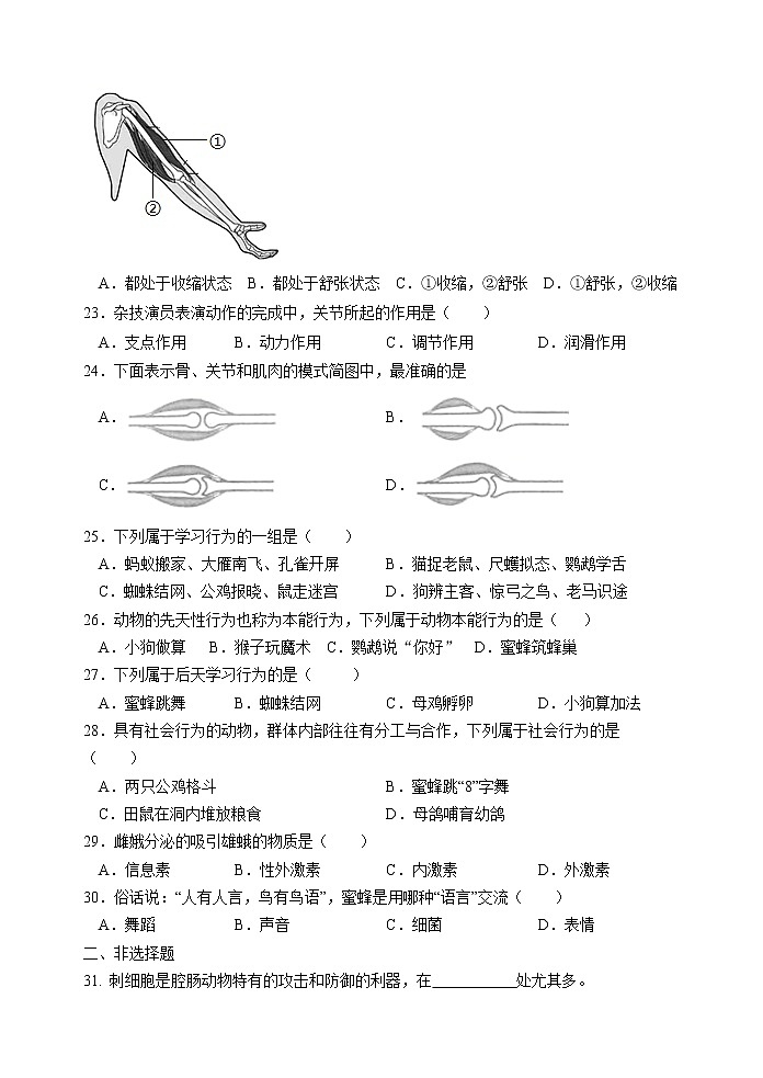 辽宁省东港市第八中学2020-2021学年八年级10月月考生物【试卷+答案】03