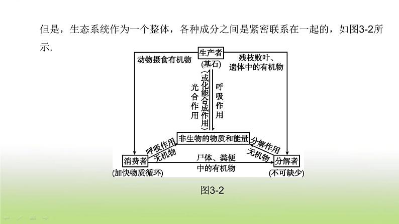 杭州专版中考生物复习第03课时种群群落生态系统和生物圈课件第6页