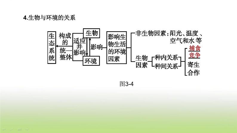 杭州专版中考生物复习第03课时种群群落生态系统和生物圈课件第8页