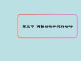 （新人教版）八年级上册两栖动物和爬行动物课件1（生物）