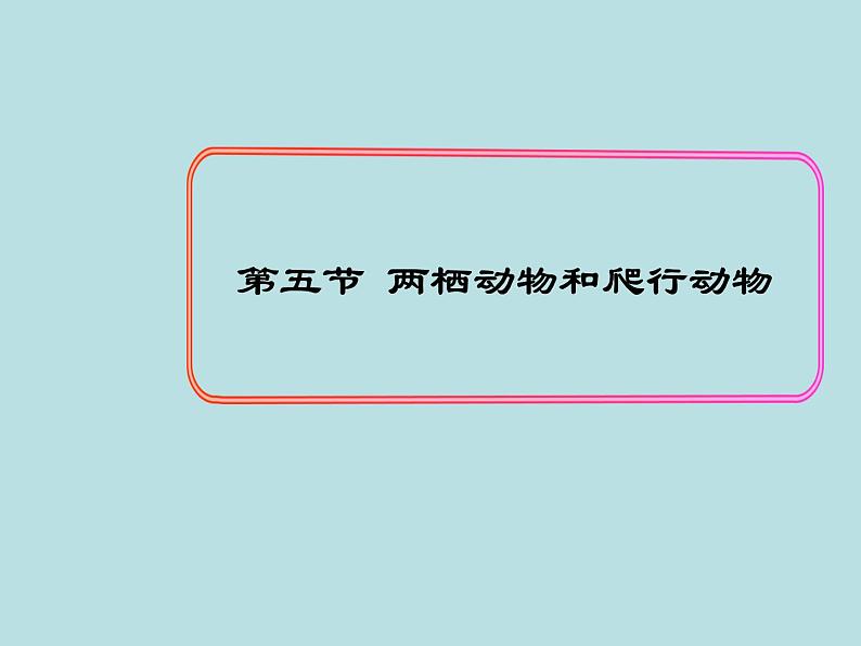 （新人教版）八年级上册两栖动物和爬行动物课件1（生物）第1页