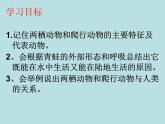 （新人教版）八年级上册两栖动物和爬行动物课件1（生物）