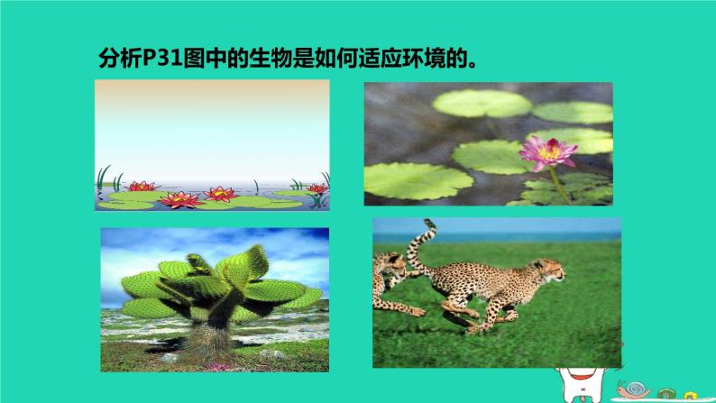 （苏科版）七年级生物上册2.2.4生物对环境的适应课件06