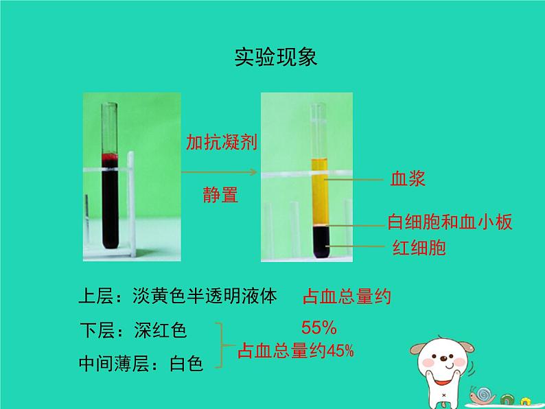 （苏科版）八年级生物上册6.15.1人体内物质的运输第3课时课件第5页