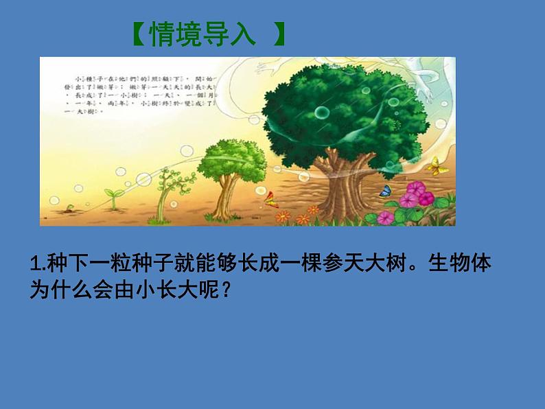 （新人教版）七年级生物上册2.2.1细胞通过分裂产生新细胞课件 (1)第2页