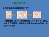 （新人教版）七年级生物上册2.2.1细胞通过分裂产生新细胞课件 (1)