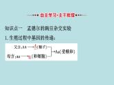 （新人教版）八年级下册3基因的显性和隐性教学课件（生物）