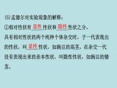 （新人教版）八年级下册3基因的显性和隐性教学课件（生物）