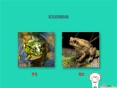 （新人教版）八年级生物上册5.1.5两栖动物和爬行动物第1课时课件