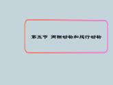 （新人教版）八年级上册两栖动物和爬行动物课件1（生物） (1)
