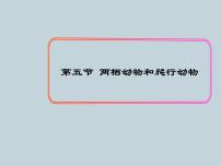 初中生物人教版 (新课标)八年级上册第五节 两栖动物和爬行动物背景图课件ppt