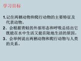 （新人教版）八年级上册两栖动物和爬行动物课件1（生物） (1)