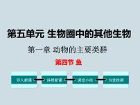 人教版 (新课标)八年级上册第五单元 生物圈中的其他生物第一章   动物的主要类群第四节   鱼备课ppt课件