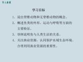 （新人教版）八年级上册第四节鱼课件1（生物）
