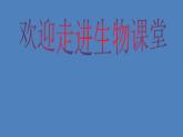 （新版新人教版）七年级下册4.5人体内废物的排出课件2（生物）