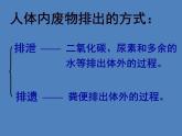 （新版新人教版）七年级下册4.5人体内废物的排出课件2（生物）