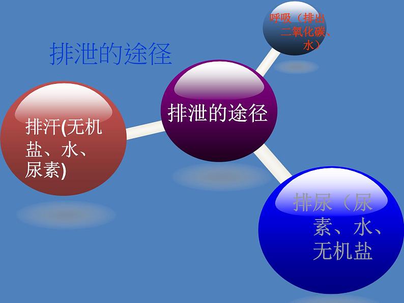 （新版新人教版）七年级下册4.5人体内废物的排出课件2（生物）第3页