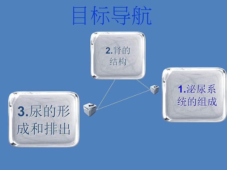 （新版新人教版）七年级下册4.5人体内废物的排出课件2（生物）第5页