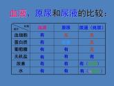 （新版新人教版）七年级下册4.5人体内废物的排出课件3（生物）
