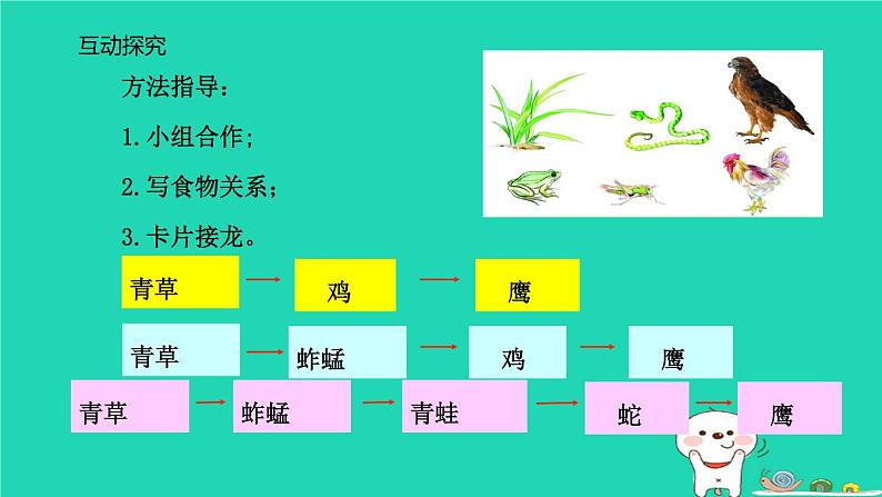 （苏科版）七年级生物上册3.6.1食物链课件08