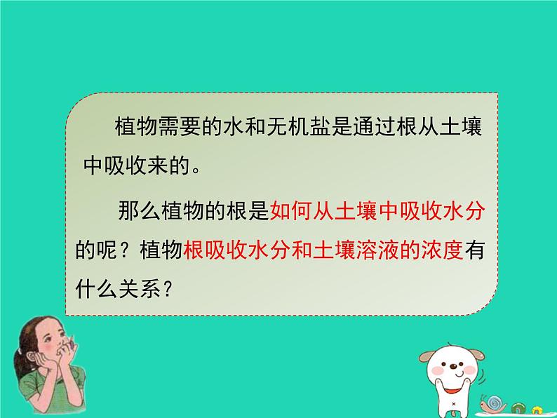 绿色植物的生长需要水和无机盐PPT课件免费下载06