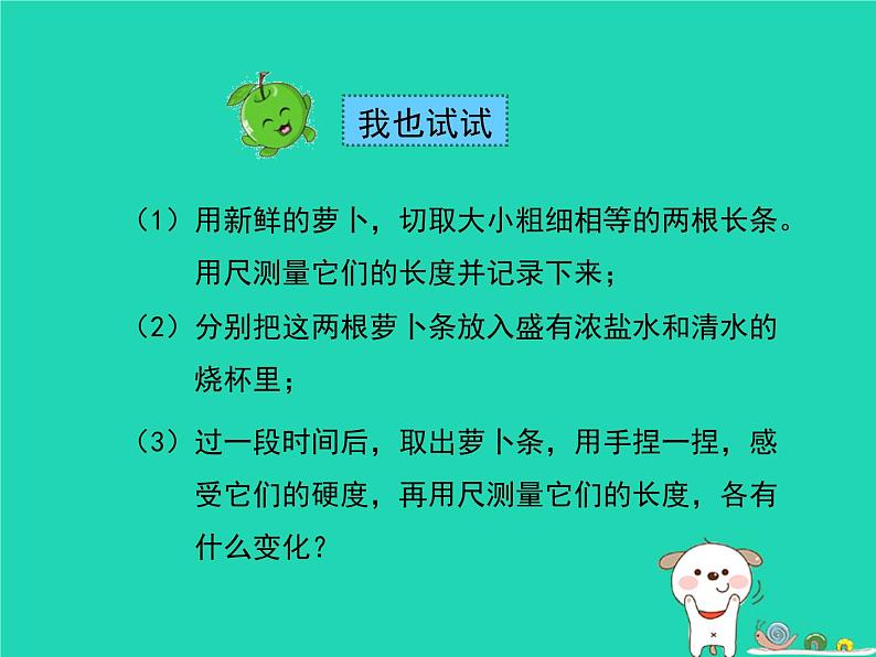 绿色植物的生长需要水和无机盐PPT课件免费下载08