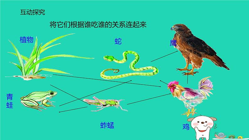 （苏科版）七年级生物上册3.6.2食物网课件04